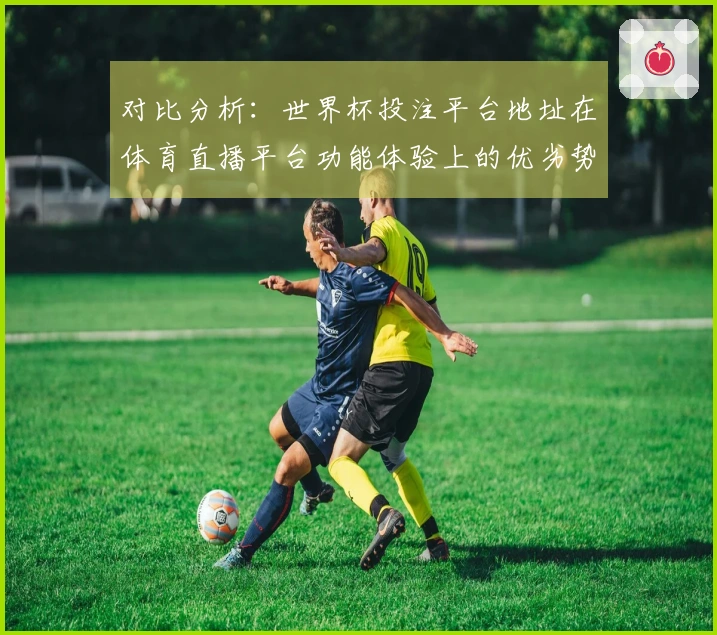对比分析：世界杯投注平台地址在体育直播平台功能体验上的优劣势探讨
