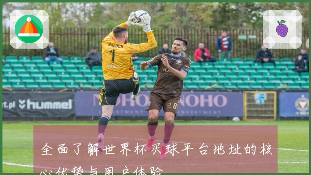 全面了解世界杯买球平台地址的核心优势与用户体验