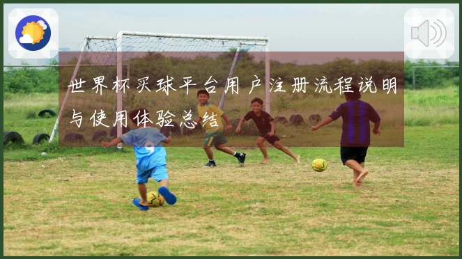 世界杯买球平台用户注册流程说明与使用体验总结