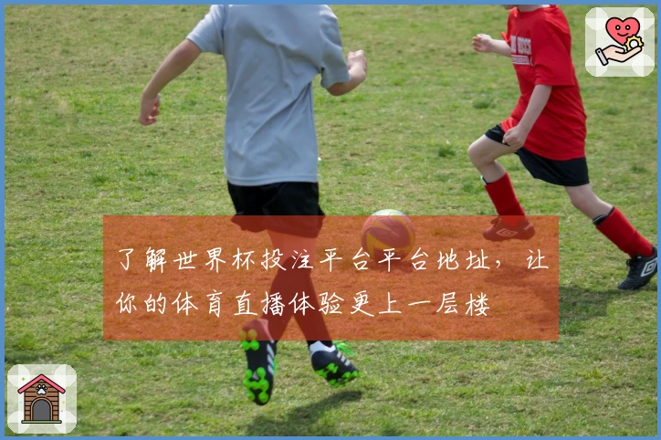 了解世界杯投注平台平台地址，让你的体育直播体验更上一层楼