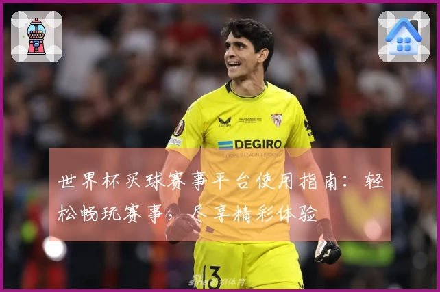 世界杯买球赛事平台使用指南：轻松畅玩赛事，尽享精彩体验