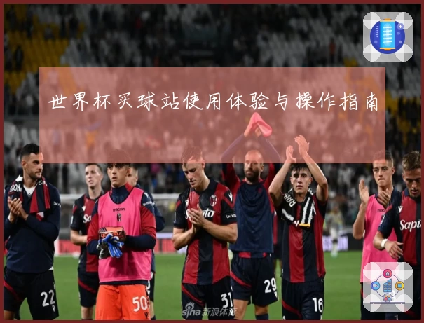 世界杯买球站使用体验与操作指南