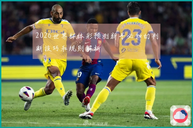 2026世界杯体彩预测新手必知的判断技巧和规则解析