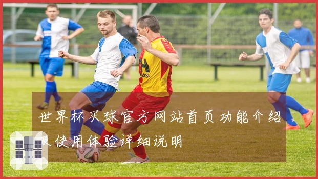 世界杯买球官方网站首页功能介绍及使用体验详细说明