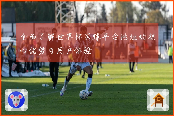 全面了解世界杯买球平台地址的核心优势与用户体验