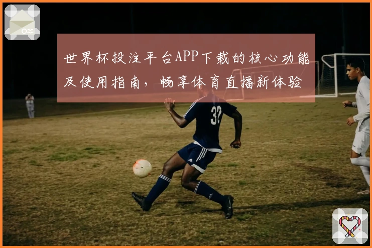 世界杯投注平台APP下载的核心功能及使用指南，畅享体育直播新体验