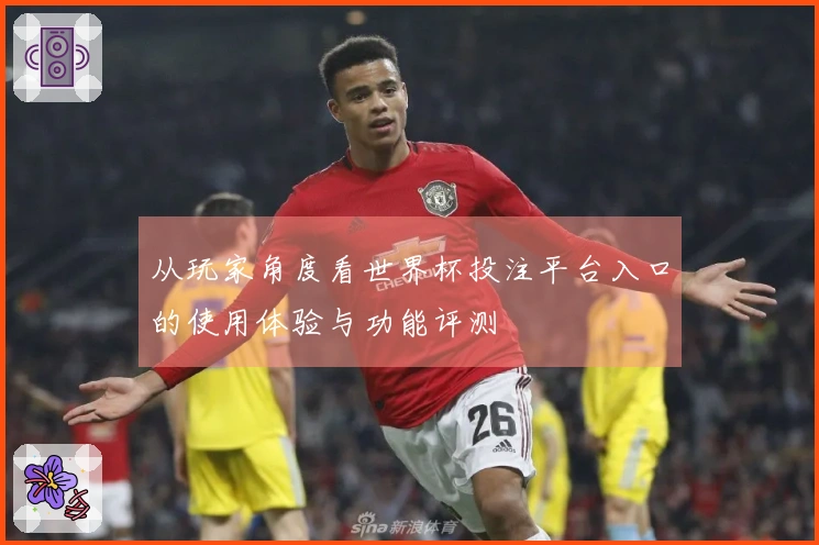 从玩家角度看世界杯投注平台入口的使用体验与功能评测