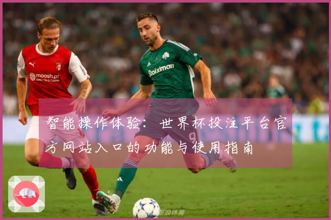 智能操作体验：世界杯投注平台官方网站入口的功能与使用指南