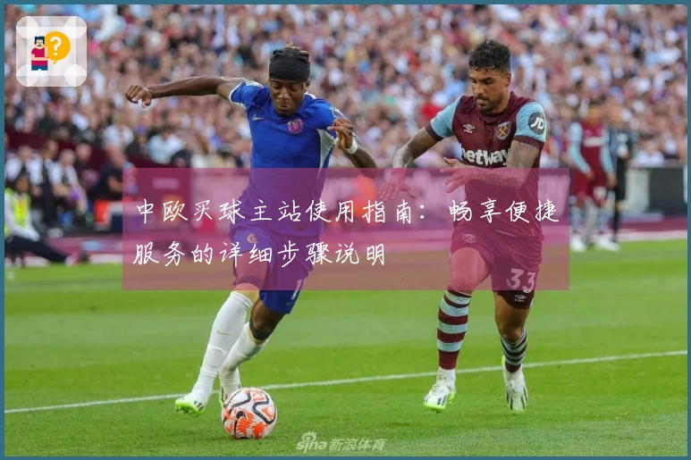 中欧买球主站使用指南：畅享便捷服务的详细步骤说明