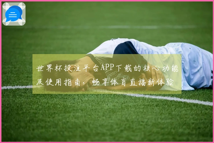 世界杯投注平台APP下载的核心功能及使用指南，畅享体育直播新体验