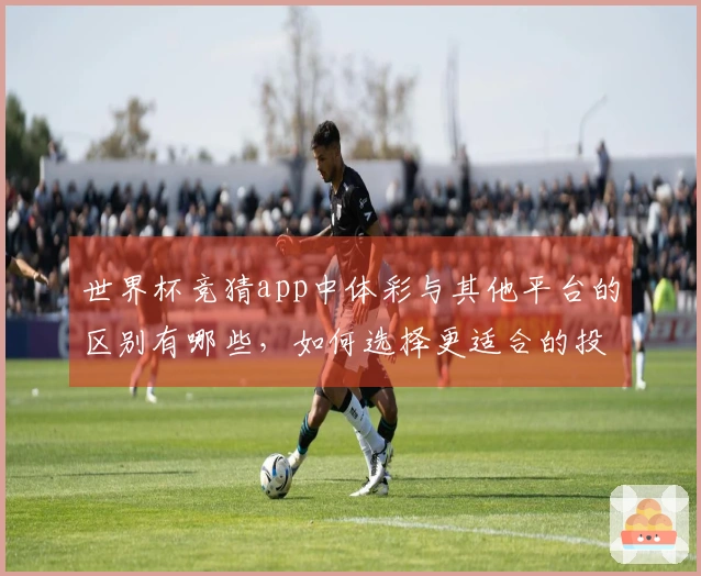 世界杯竞猜app中体彩与其他平台的区别有哪些，如何选择更适合的投注方式